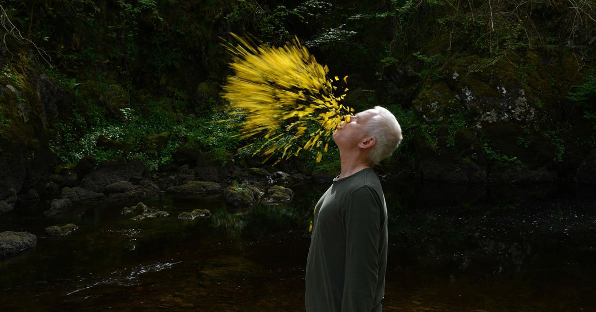 Der Kinofilm "Leaning Into The Wind" über den britischen Landart-Künstler Andy Goldsworthy ist eine gelungene Meditation über Vergänglichkeit > bit.ly/2jvng9B