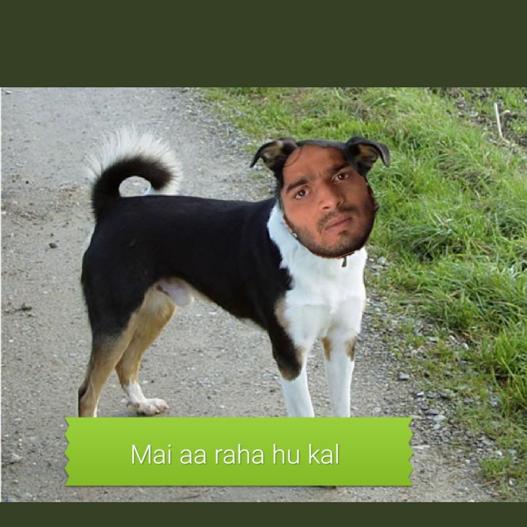 hprneet143's tweet photo. @TheKaranPatel  https://t.co/tfJmoG5fpA
