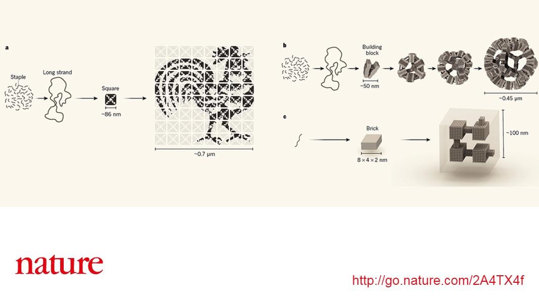 online graph theory singapore 1983