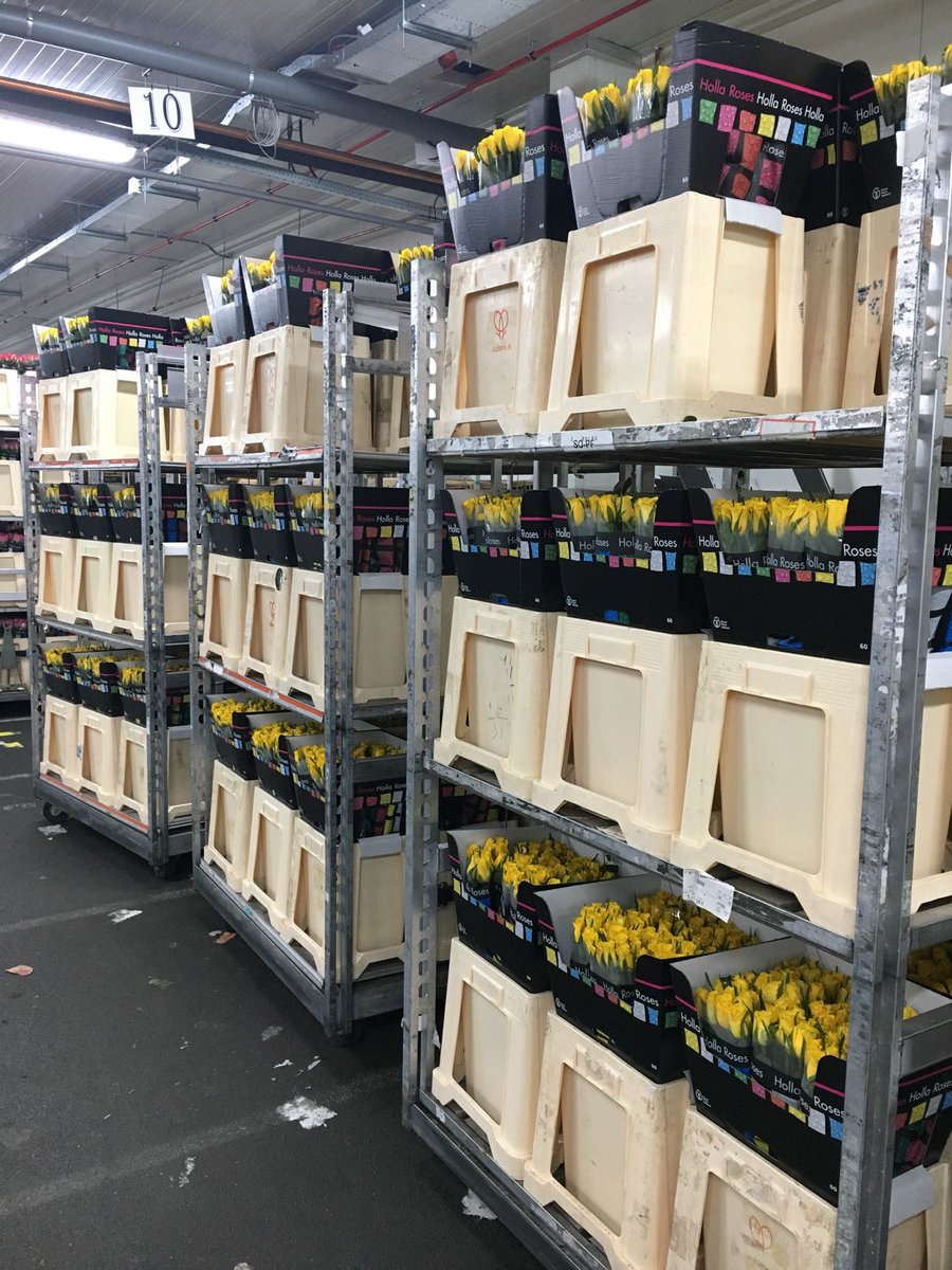 What a colorful difference; from now on our length 60 CM roses with Holla Roses cardboard collars.

Give a rose... get a smile! :-)