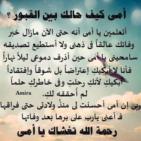 Mostafa Ramadan (@mostafa97498217) on Twitter photo 