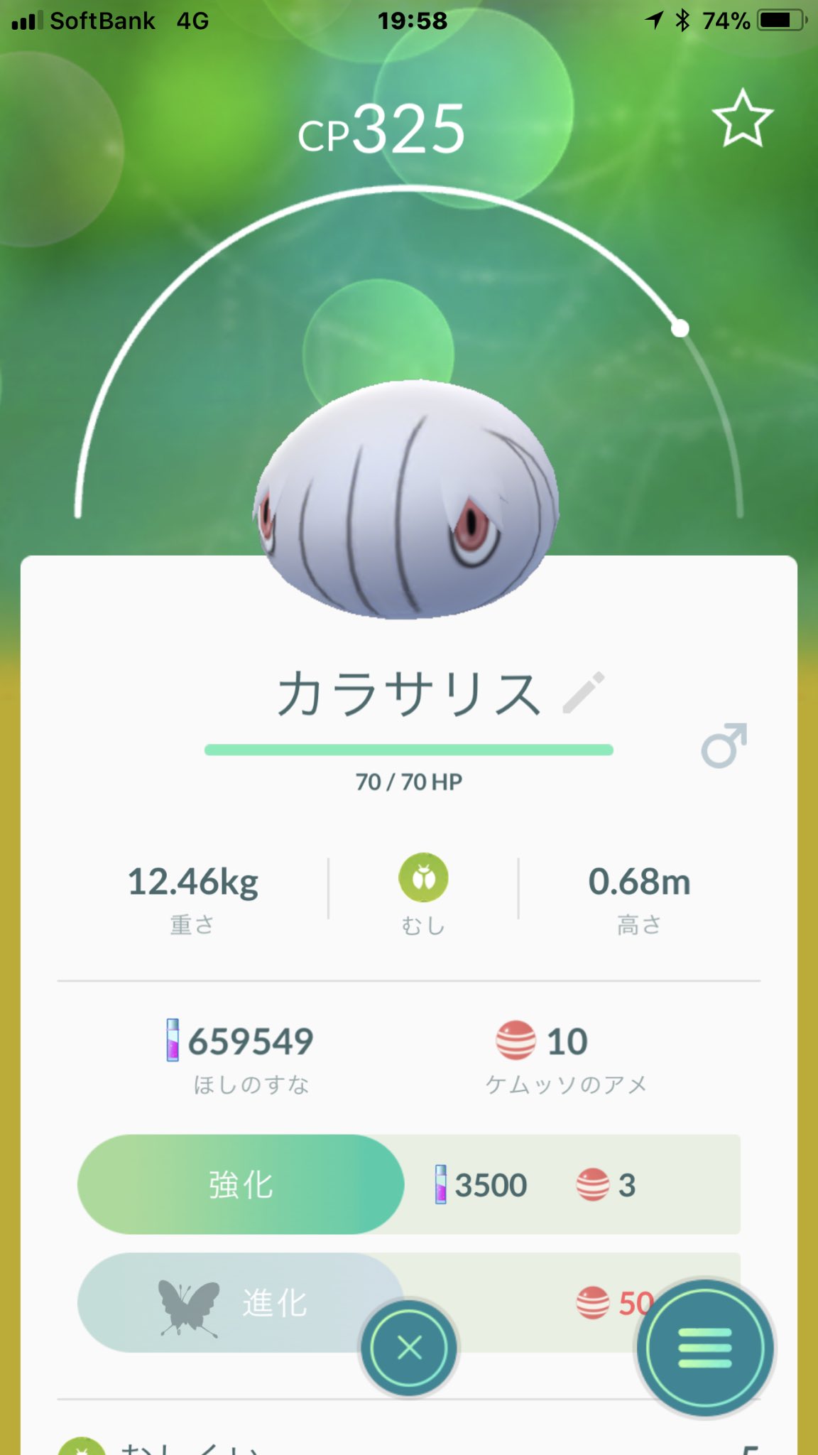 توییتر 猫の飼い主 در توییتر ポケモンgo ケムッソのオスを進化させた カラサリスのオスになった ケムッソはオスとメスでは進化先が違うんだね T Co Scmvsmznkg