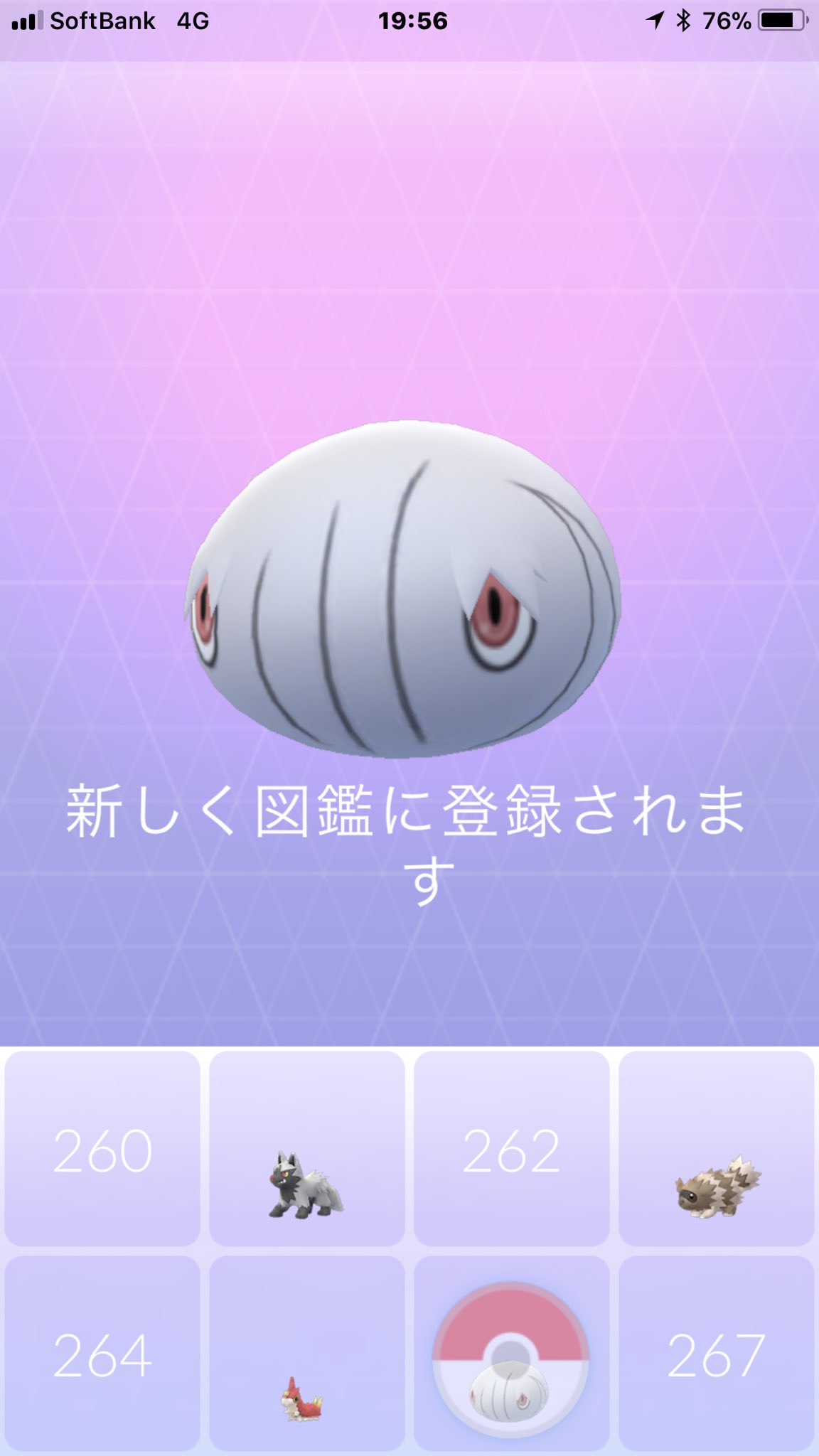 猫の飼い主 ポケモンgo ケムッソのオスを進化させた カラサリスのオスになった ケムッソはオスとメスでは進化先が違うんだね T Co Scmvsmznkg Twitter