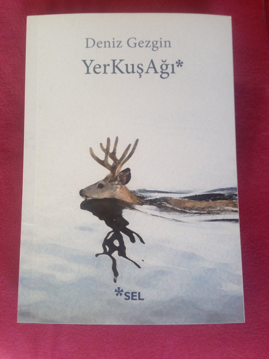 "yer", 
"kuş" için
bir "ağ"
olabilir mi?
ya da uçmaya yazgılı bir canlı için  bir ağu ? 
kuşların düşme ihtimaline istinaden kurulmuş bir ağ???

bir farklı metin, bir farklı okuma denemesi.
itina ile salık verilir. 

Deniz Gezgin; Yerkuşağı; Sel Yayıncılık.