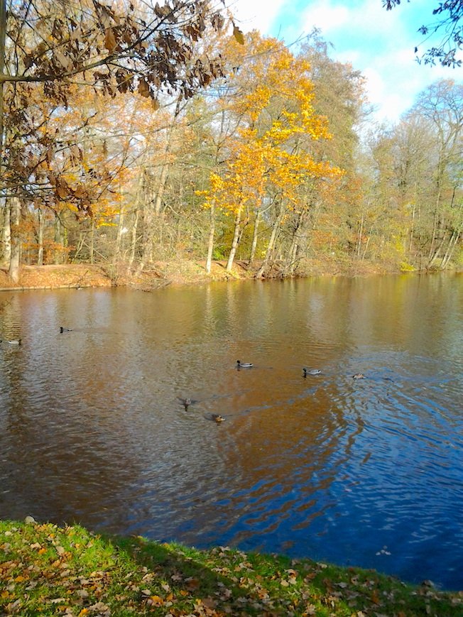 you might chisel your way into #existence
and the sweat of your labor become rain

you might be #Nature chuckling back at herself

who completes you?

Anne Waldman

#poetry #photography 
#quote