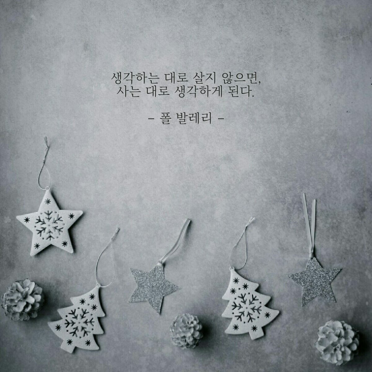나비의 비상 tweet media