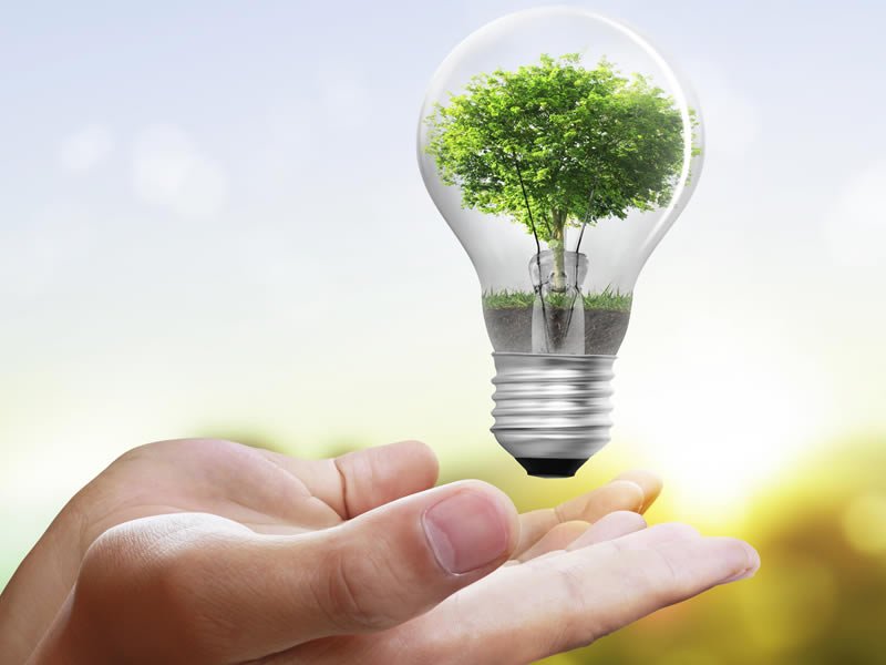 Doubling Renewable Energy Generation By 2030 dlvr.it/Q56l1X https://t.co/Q495Ir3BtH