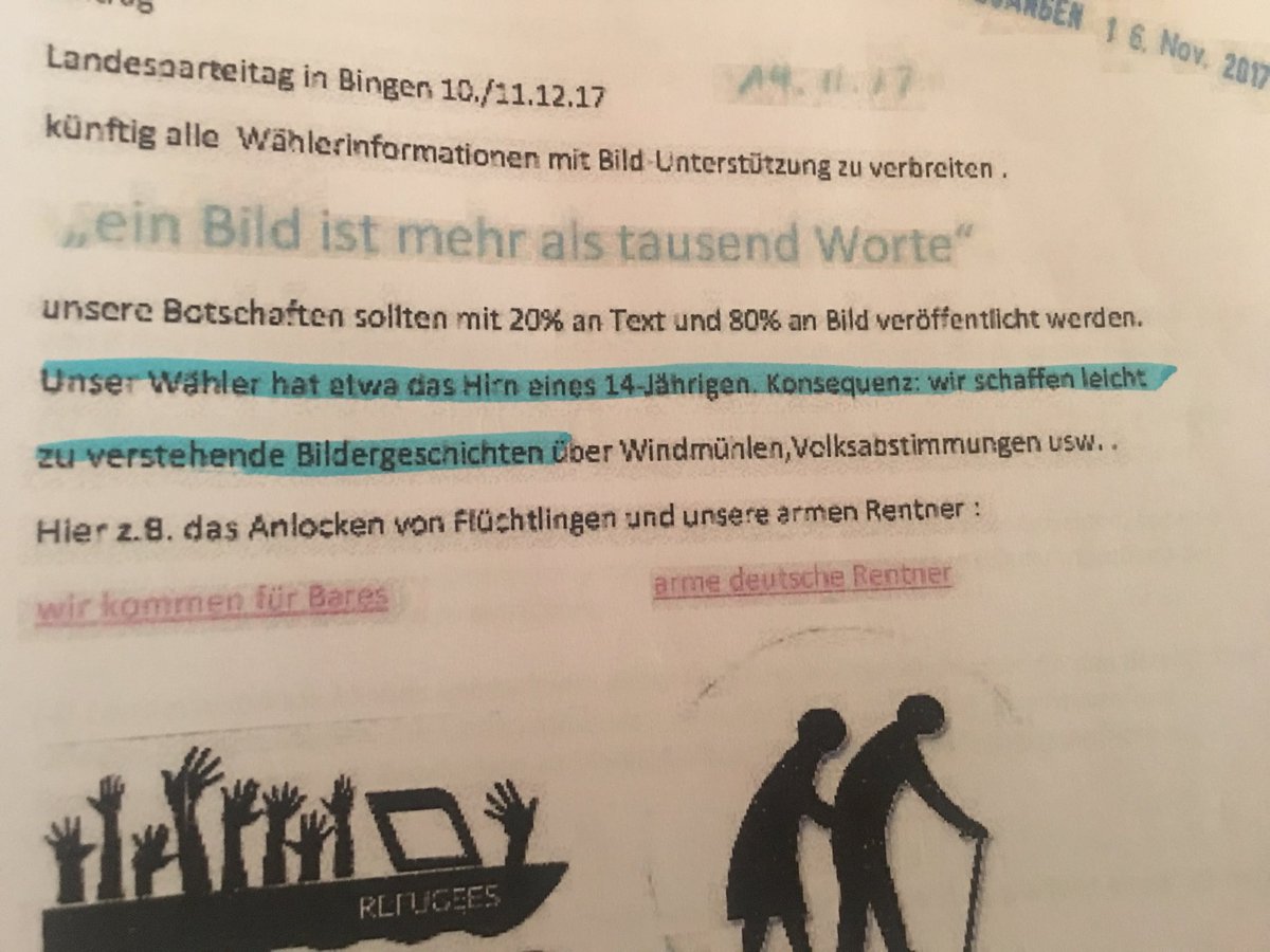 Ohne Aussprache in Bingen: Der Antrag, in dem AfD-Wählern attestiert wird, „das Hirn eines 14-Jährigen“ zu haben.