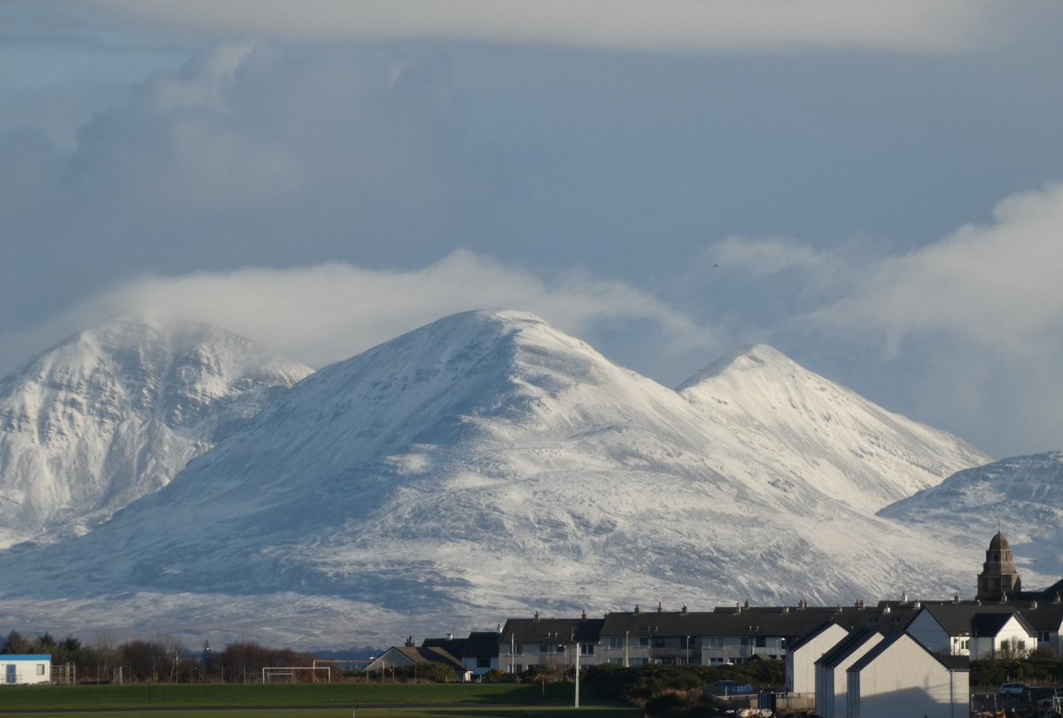 david brodie 🥃 tweet media