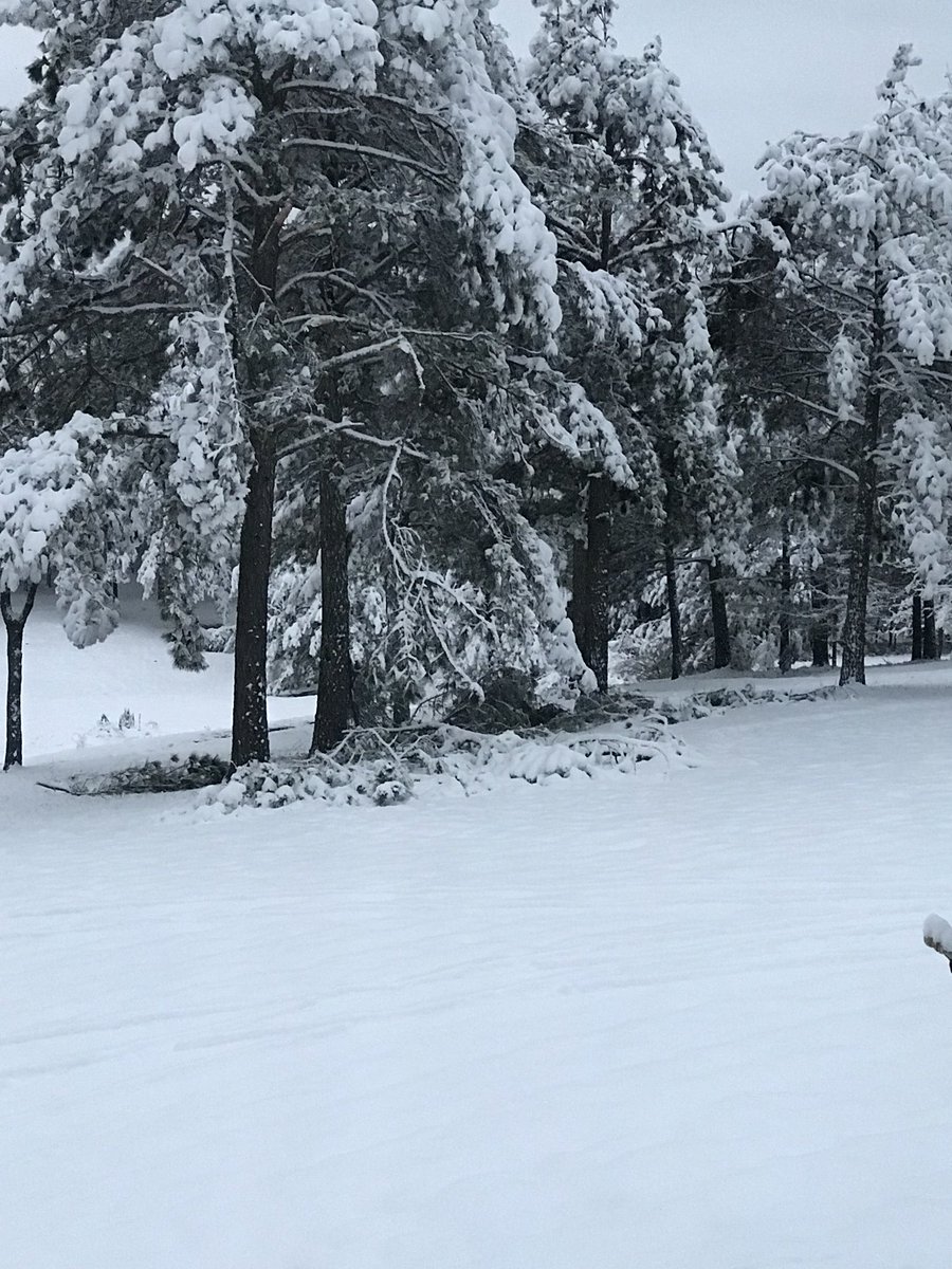 StoneCold_Snook's tweet image. 7” of ❄️ (I just measured) just North of Cedartown &amp;amp; no power.  I can hear pine tree limbs snapping every few minutes 😩. @wsbtv @BradNitzWSB @KarenMintonWSB @GlennBurnsWSB #StormWarchOn2 #GAMX @NWSAtlanta