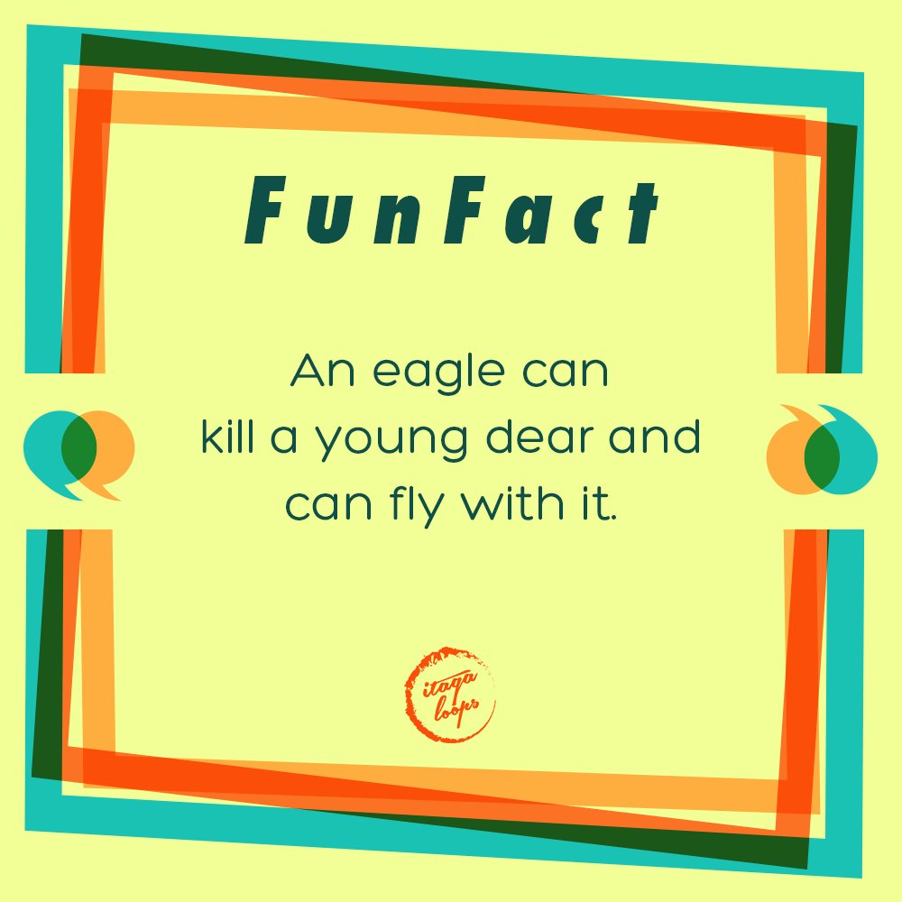 ItagaLoops's tweet photo. Eagles are known for it's flight swiftness and now you know it's real strength 💁 💁 #flyeaglesfly #eagles #eaglesnation #philadelphiaeagles #nfl #eaglescamp #eaglesnest #eaglesfan #philly #birdgang #football #bleedgreen #eaglespride #eaglesteam #eaglesgame #eaglesfam#itagaloops https://t.co/IiBnK4HePu