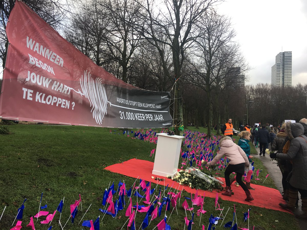 3100 roze en blauwe vlaggetjes staan symbool voor 31.000 abortussen per jaar. #marsvoorhetleven #weekvanhetleven