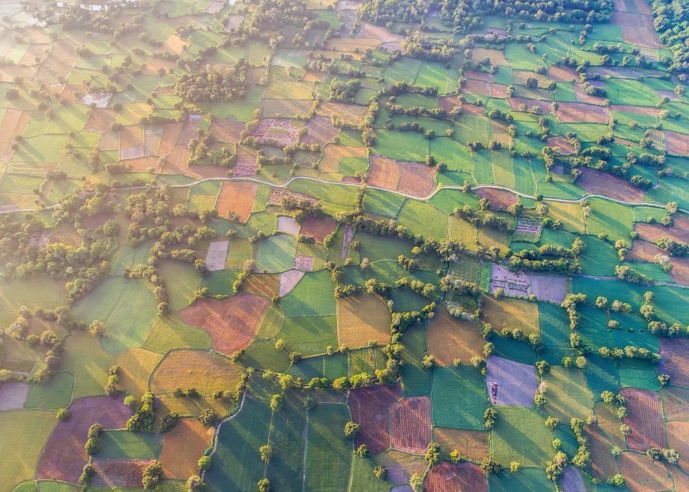 PicPublic's tweet photo. Sunrise in Ta Pa rice field, the largest field in Mekong river delta, Vietnam. https://t.co/pw8Q2EardV