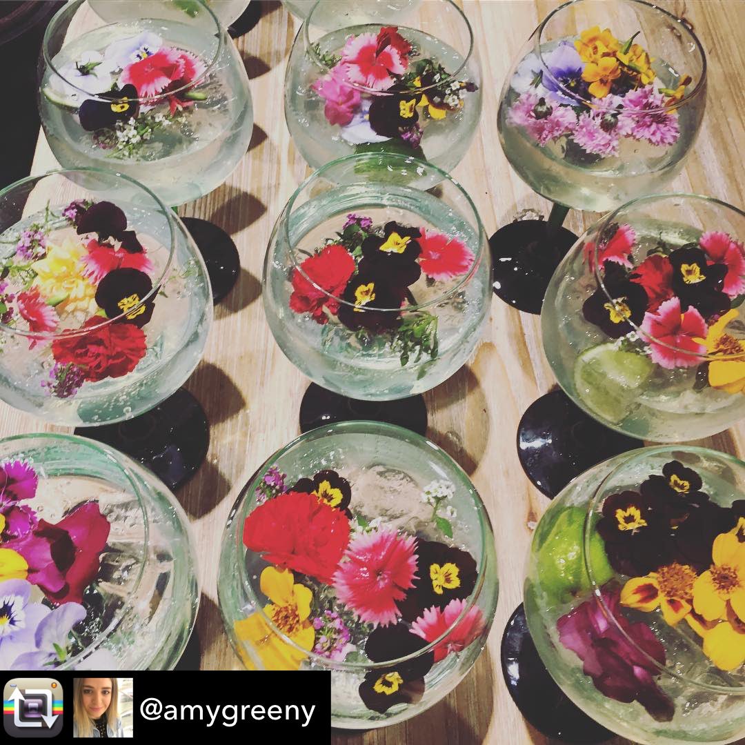 NurturedInNflk's tweet photo. Repost @amygreeny On Friday’s, we make cocktails 🌸’ @missyflynn @tanqueraygin @allbarone Count us in on your next Friday shindig🍸🌸🍸🌼🍸🌺
#spiritsof2017 #spiritsof17 #allbarone #missyflynn #mixology #mixologist #cocktails #edibleflowers https://t.co/uwVfunFbkG