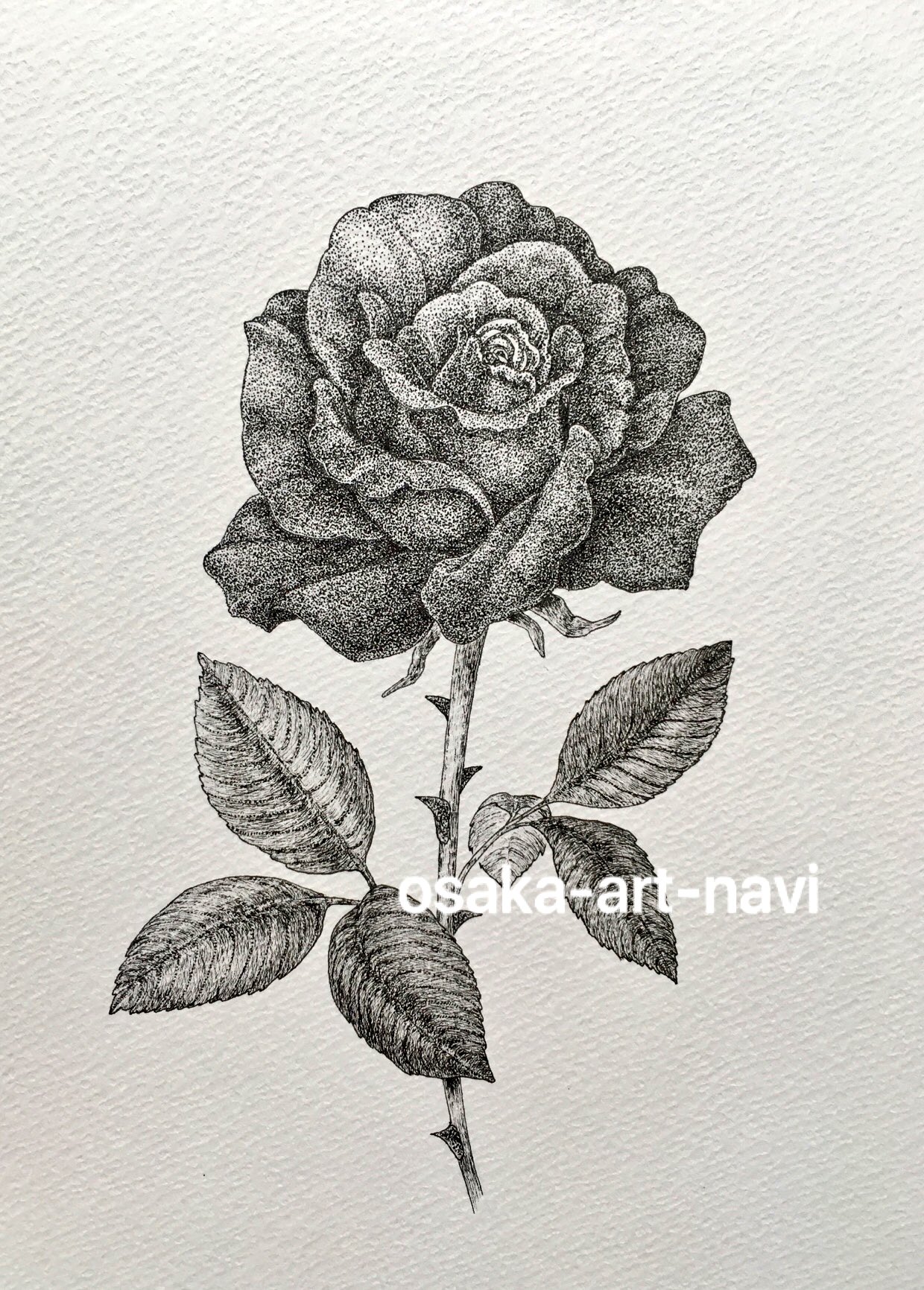 もとゆきこ ペン画 ペン画 薔薇 T Co Savhfqmgcj バラ 花言葉 愛 美 バラのトゲ にも花言葉あり 不幸中の幸い T Co Tz8hjsaroj Twitter