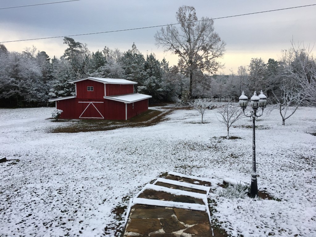 justjump3day's tweet photo. Winter woes in Cajun land https://t.co/N6l2hfzI0D https://t.co/P2C9qf19TL