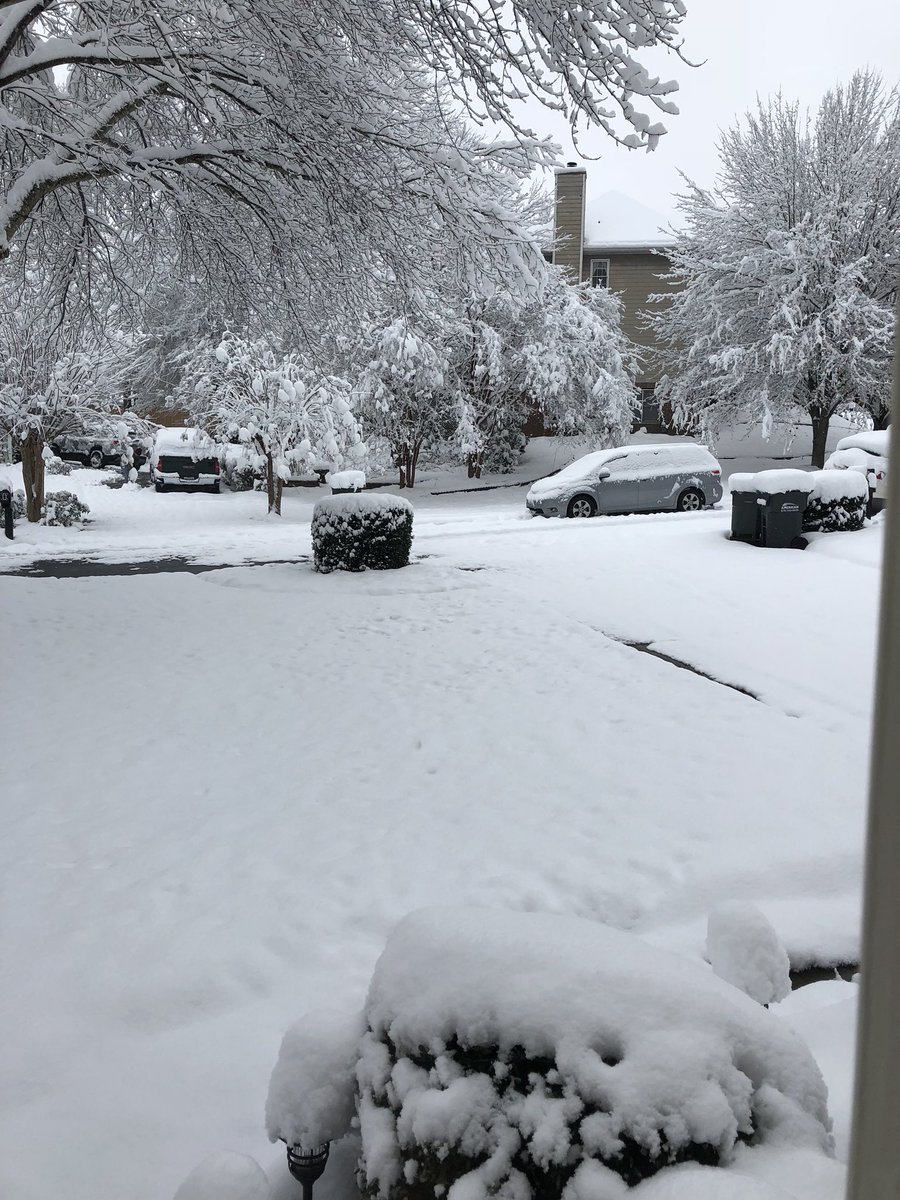 MelissaNordWx's tweet image. A winter wonderland at my parent’s house in NW Cobb County. Power restored around 2:30 last night. #southernsnow @ChrisHolcomb @BradNitzWSB @KarenMintonWSB @DChandleyFOX5