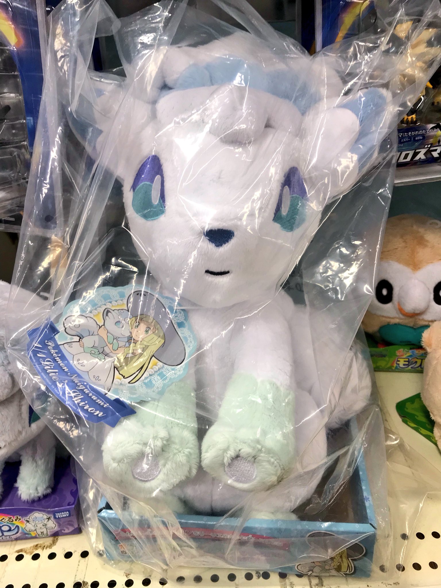 ヒノッチ Sayapikak 等身大のアローラロコンではなく等身大のシロンって所がまたいいですよね ｖ お祝いもありがとうございます Twitter