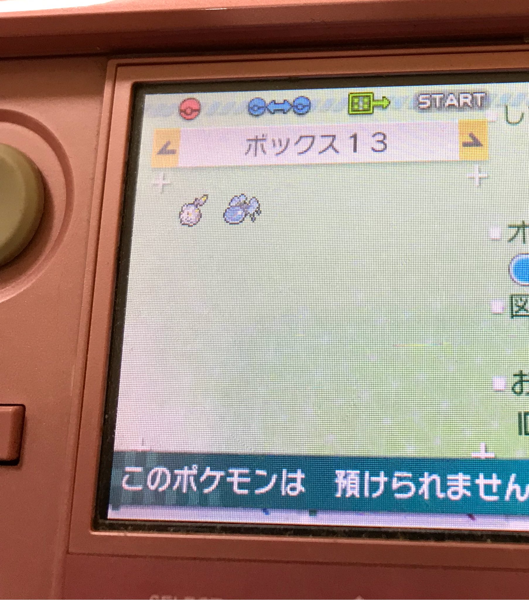 猫の雅 Auf Twitter ポケモンバンク ぬしポケモン リセット色違い厳選中だから移そうとしたらこの2匹だけ移動できない ぬしポケモンのオニシズクモとトゲデマルに何の恨みがあるんだ ほかの4匹は行けてるのに T Co Or0jo7nyyf Twitter