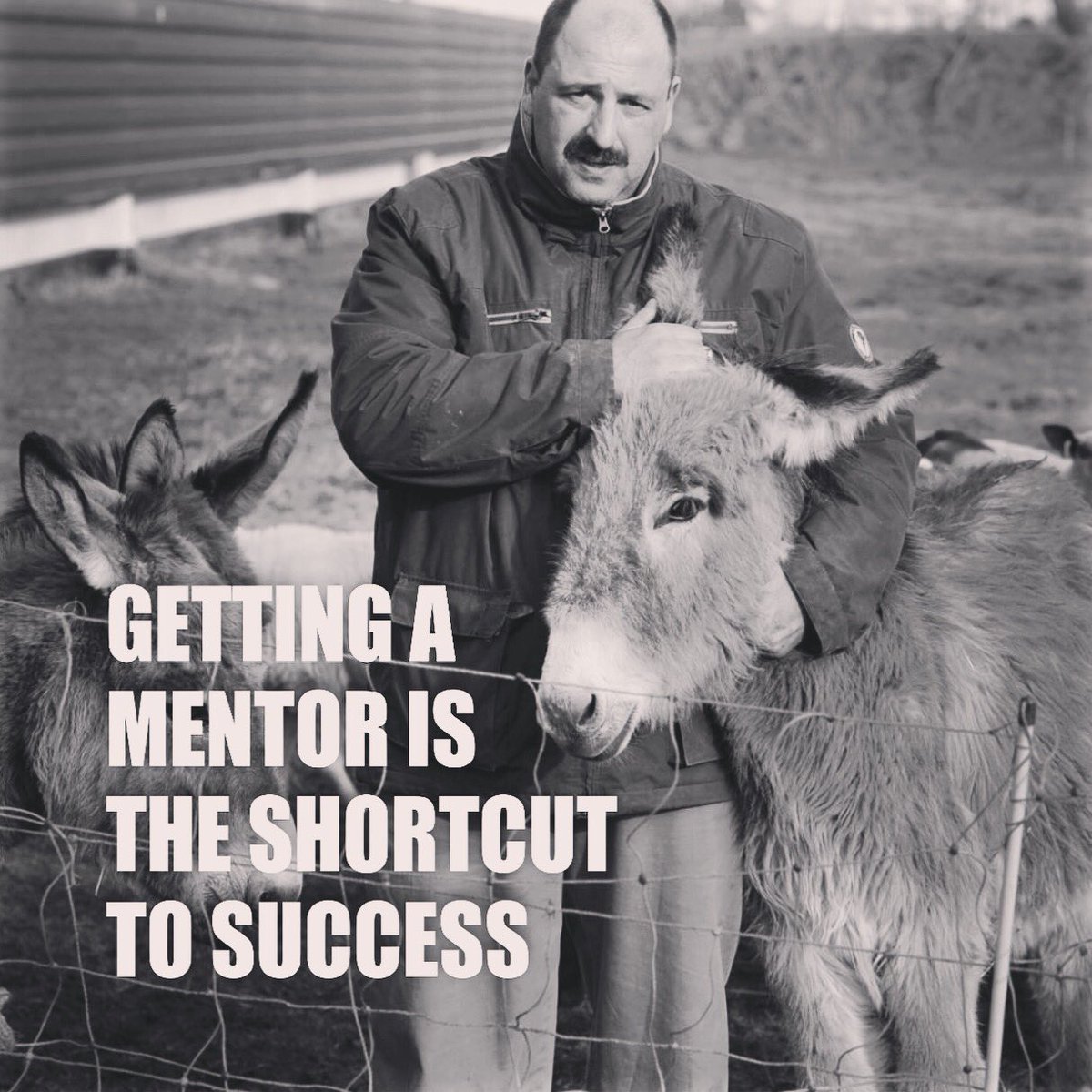 Burro sagt, man soll niemals die Esel/Menschen/Affen (...) vergessen, die einen inspiriert und gefördert haben! #clubdelburro #soulpower #mentoring #donkeybusiness #donkey #monkey #berlin #love