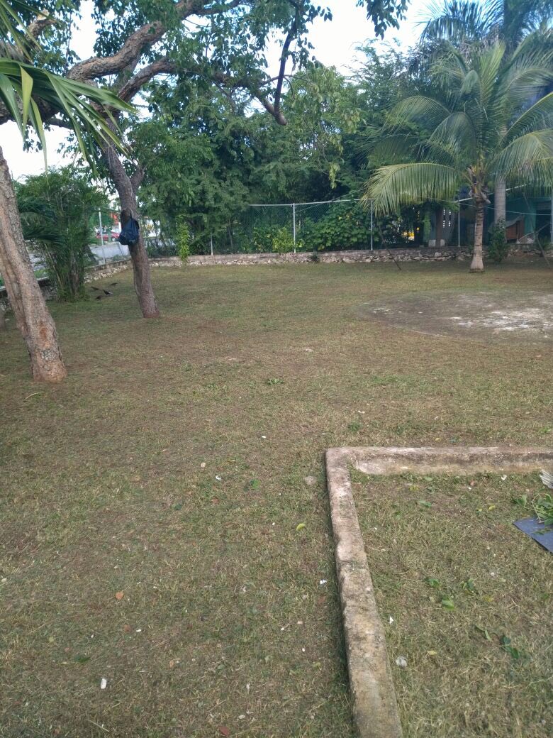 #BrigadasVerdes realizan chapeo y limpieza de los parques en el Fracc. Los Héroes Calle Gertrudis Sanches y Pedro Jose Mendez #NoPararemos 

<a href="/rembertoestrada/">Remberto Estrada</a> <a href="/jlcgcachorro/">jlcg cachorro</a> <a href="/RogerEspinosaR/">Roger EsPro</a> <a href="/AytoCancun/">Ayto Benito Juárez</a> @RespuestaMX