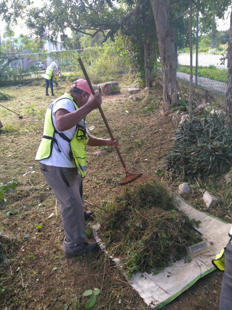 ParquesBJ's tweet photo. #BrigadasVerdes realizan chapeo y limpieza de los parques en el Fracc. Los Héroes Calle Gertrudis Sanches y Pedro Jose Mendez #NoPararemos 

@rembertoestrada @jlcgcachorro @RogerEspinosaR @AytoCancun @RespuestaMX https://t.co/Te1mbG4gVk