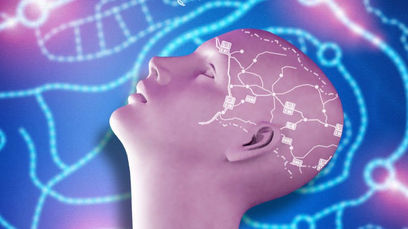 lifehacker's tweet photo. How to use mind maps to unleash your brain's creativity and potential: https://t.co/v1DYRvQKfG https://t.co/EGVlhAsVhA