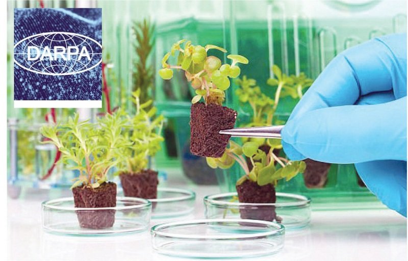 read a laboratory guide for cellular and molecular plant