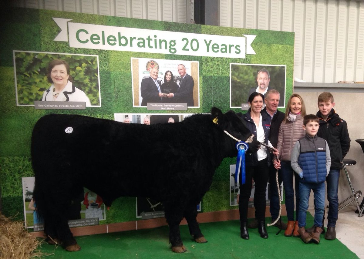 TescoIRLnews's tweet image. Congrats to Anne Marie Donovan, Limerick who attended the Irish Angus Elite Sale in Carrick-on-Shannon. Anne-Marie won €3,000 towards the purchase of @AberdeenAngusIE genetics from Tesco at #Ploughing. The Foynes family are pictured with Tracey McDermott, head of technical.
