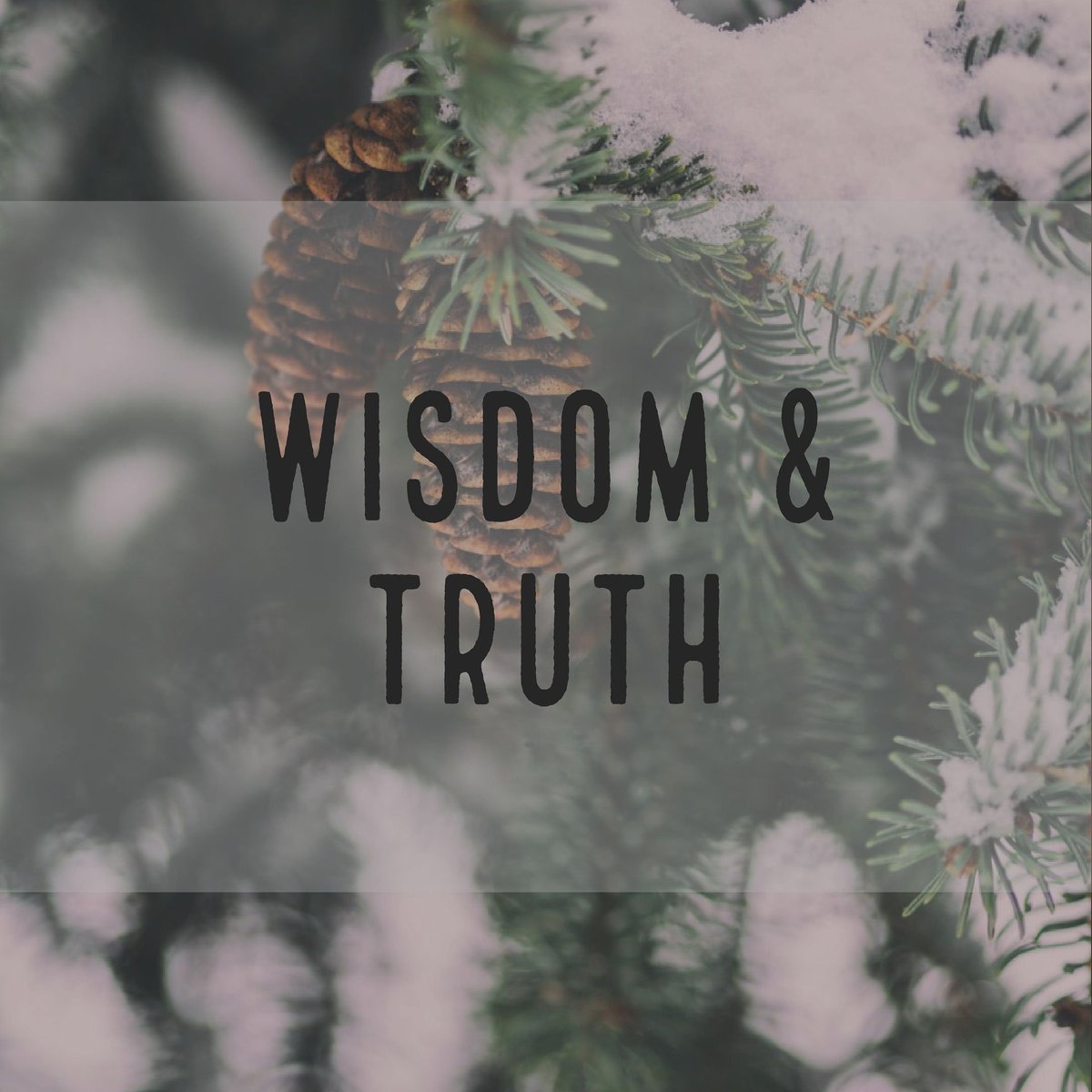 millennialgram's tweet photo. T Y P E  F I V E S:
You reflect God's wisdom + truth.

"Those who identify with Type Five reflect God's wisdom and deep inner knowing that illuminates the mind and heart." 

(Marilyn Vancil, "Self to Lose Self to Find")

#enneagram #enneagram5 #reflectionsofGod https://t.co/AdAT7WvEMw
