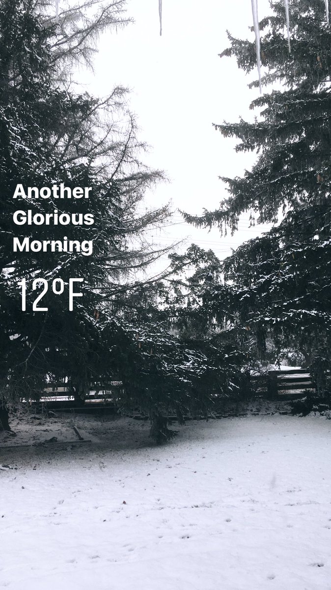 #idaho #idaholife #idaholiving #mountainwest #mountainwestliving #winter2017