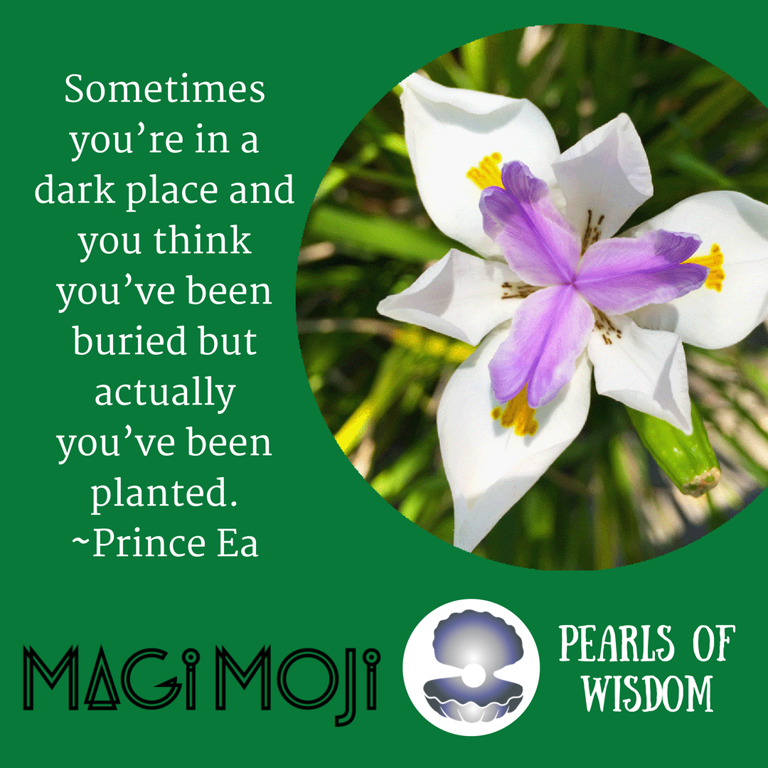CreateMagiMoji's tweet photo. Pearl of Wisdom: The dark is planting the seeds of growth. #PrinceEA #inspiration #tweetthis #SaturdayMorning #flowers #skies #believe #createmagimoji #inspire #innercycles #mindfulness #magimojiminute #pearlsofwisdom #priceea https://t.co/Cnwm8FTtPA