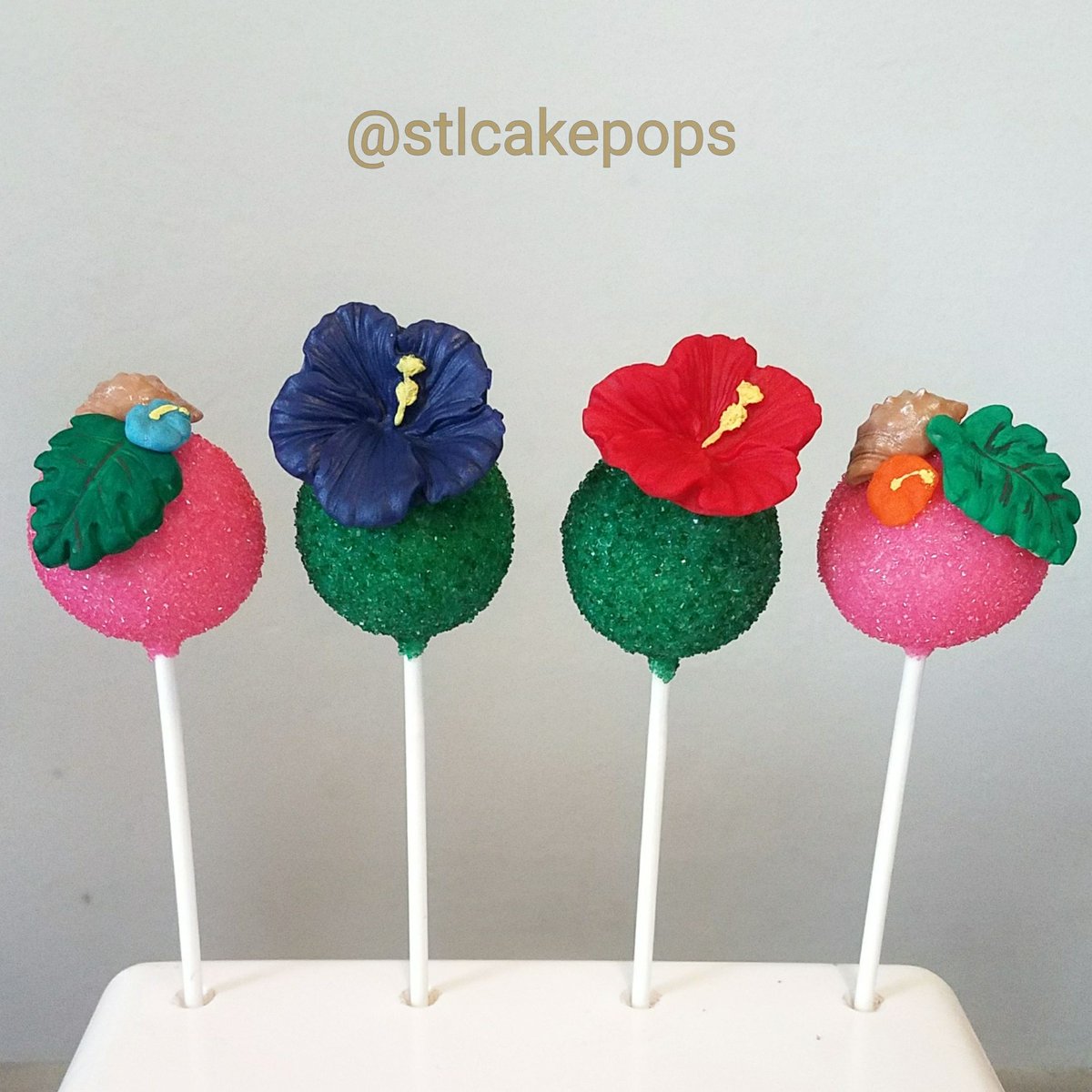 Moanacakepops Moanacakepops