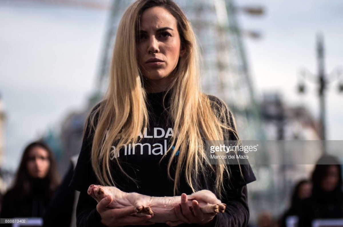 MarcosdelMazo's tweet photo. PHOTOS: Animals Rights International Day protest in #Madrid
https://t.co/4lJ2GffZ5V
@IgualdadAnimal @PartidoPACMA #DIDA2017 #MaltratoAnimal #GettyImages #news https://t.co/MDWfPwAfOU