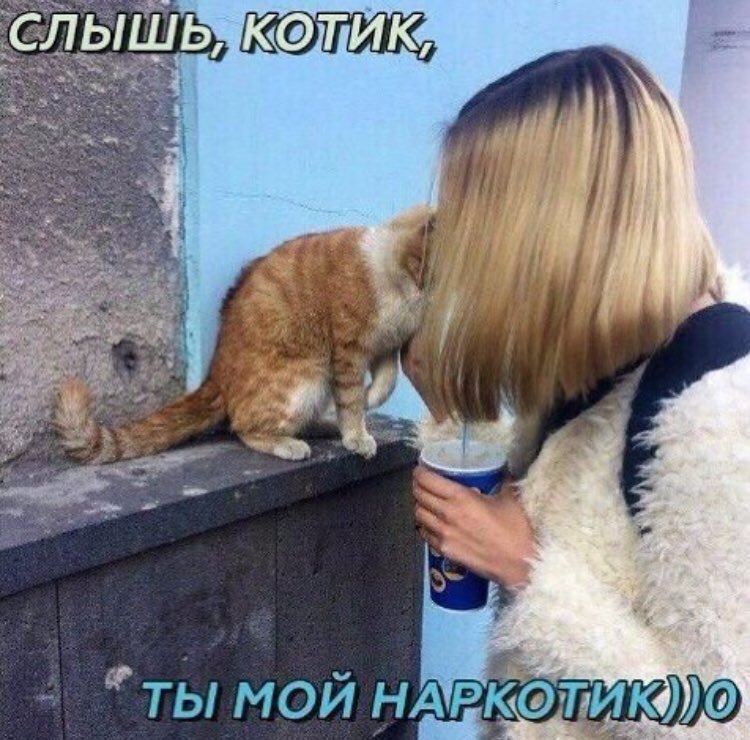 Котики мои наркотики Котики мои наркотики таблетированная соль купить в перми
