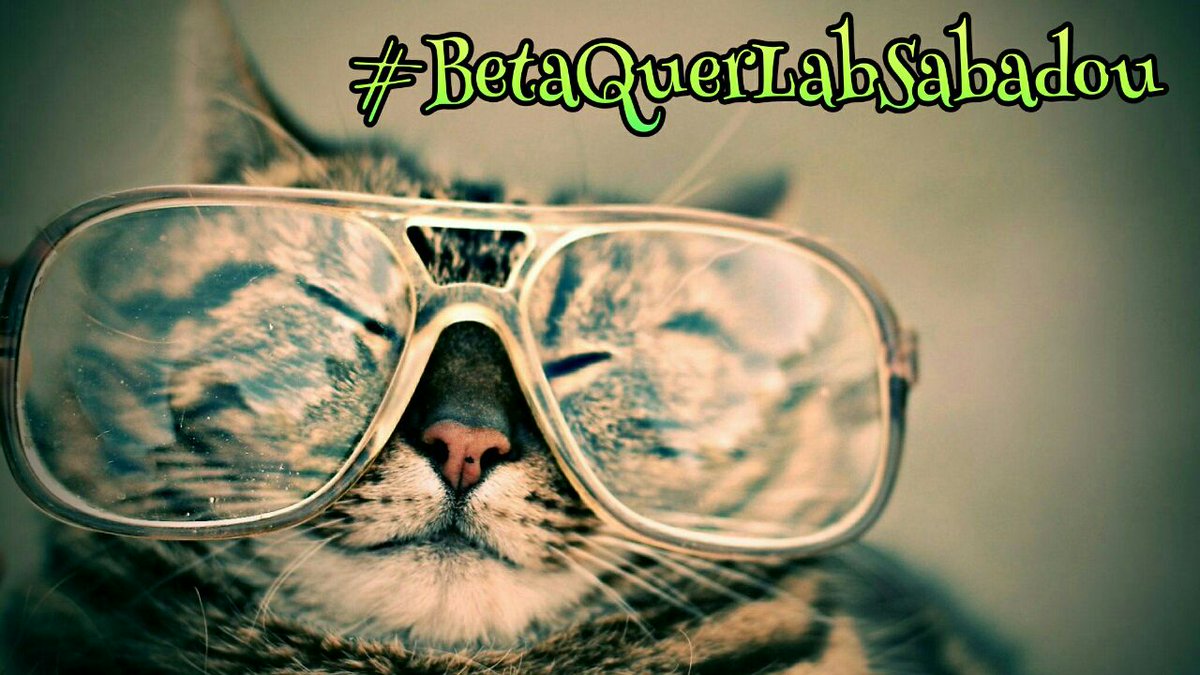 Boa noite amigos, tenham todos um #BetaQuerLabSabadou cheio de alegria e paz e muita diversão,que Deus abençoe sempre todos vocês amigos🙏
#BetaQuerLab