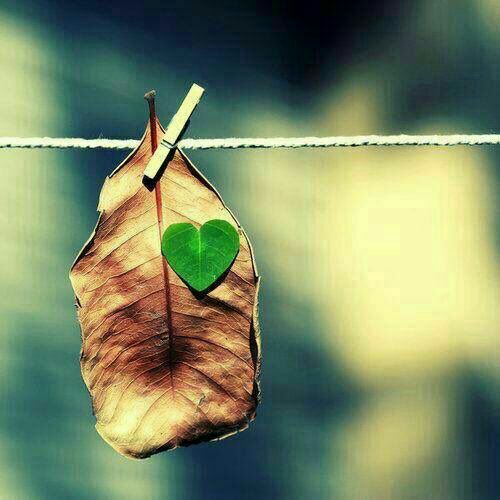 fakhamet_esGp's tweet photo. هل تريد #القرب من الله :

🍃🌾سجودك على الأرض يزيد قربك من 
رب السماء ﴿كَلّا لا تُطِعه وَاسجُدوَاقتَرِب۩

 قال #رسولﷺ :
 
أقرب ما يكون العبد من ربه وهو ساجد ..🌾🍃'

#تذكير
#مناجاة https://t.co/D7jfWSxs8u