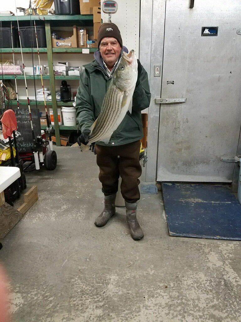 Don Ingling just in with a 12.8#, 33-1/4" Derby Bass on bunker from the #HarveyCedars surf on #LBI #fishing 👍🎣