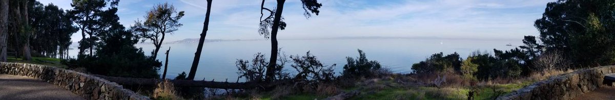 RealJCarmichael's tweet image. #WideView