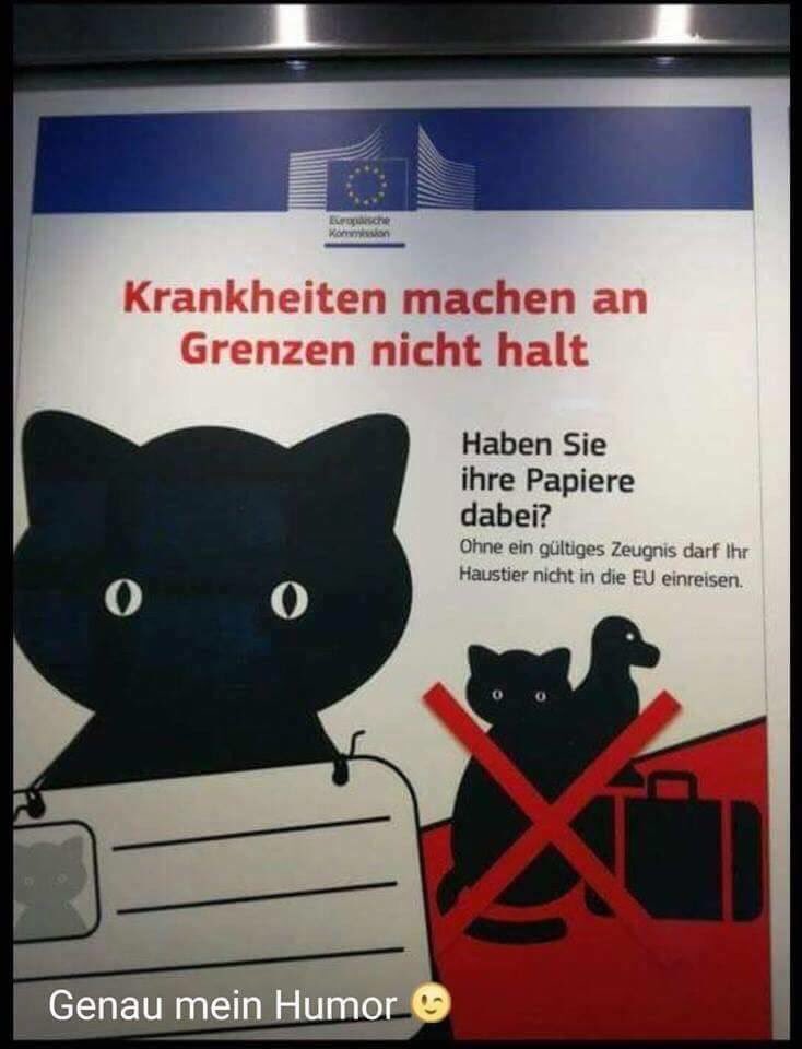 buddhine1970's tweet photo. Mal wirken lassen😏 https://t.co/q0ZYR4jQuv