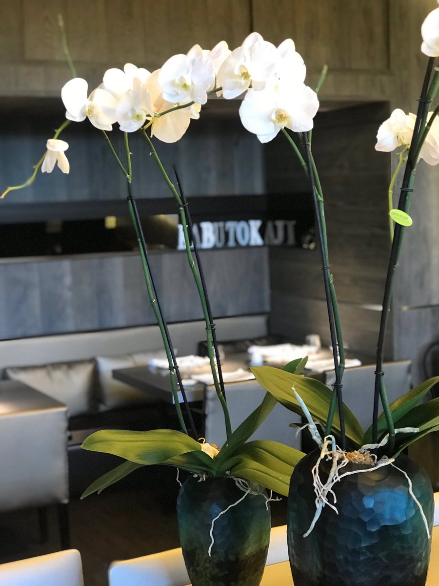 ¡Buenas noches! ¿Cenamos en KaButoKaji? #kabutokaji