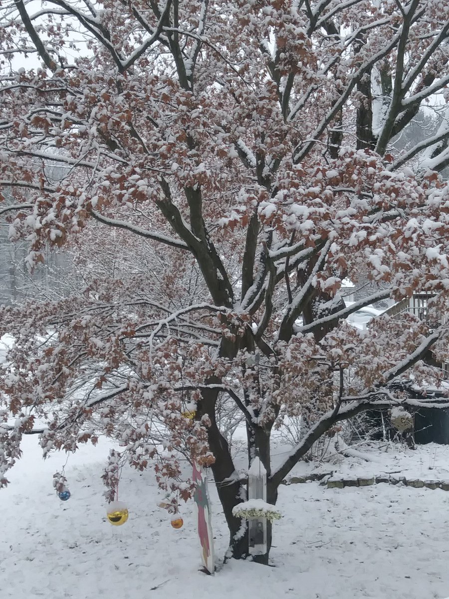 RMT Photography tweet media