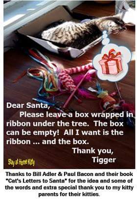 SAHKCatSitter's tweet photo. #KittyLetterstoSantaClaws https://t.co/owHaGKCFWP