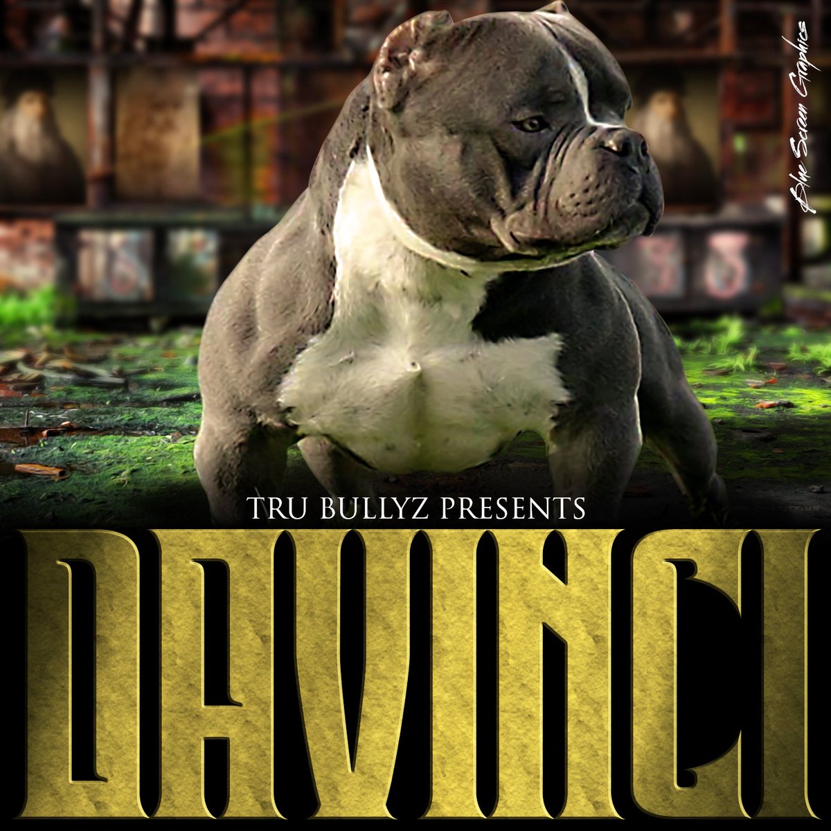 bluescreenllc's tweet photo. ANOTHER SATISFIED CLIENT....
NEED A BANNER??
DESIGNED BY BLUE SCREEN GRAPHICS...
ASK ABOUT ALL OUR SPECIALS...
#bluescreengraphics #logos #businesscards #bluescreengraphicsbanners #Banner #americanbully #askaboutourspecial #buy1get1free #business https://t.co/GxSRtfW830