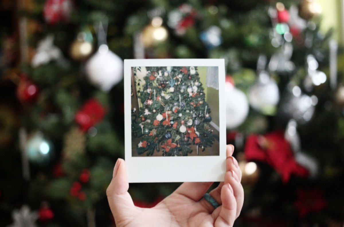 hará educar Capilla Polaroid on Twitter: "Oh Christmas tree, oh Christmas tree 🎄🎶 // shot on  @polaroidorignls https://t.co/HdVcSmbwoG https://t.co/1x4vNlceau" / Twitter