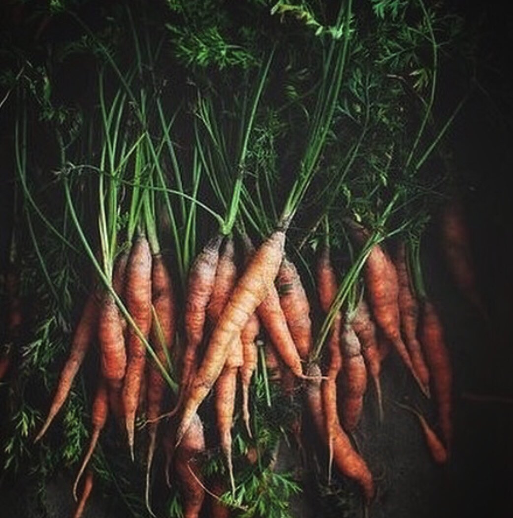 RaisedReal's tweet photo. Weโd love to say we go to the #farmersmarket every weekend. Really, we have #RaisedReal in the freezer. Think #farmtohighchair. #dadtruths #momtruths #HomeMadeSimple https://t.co/bXrbygs4WZ