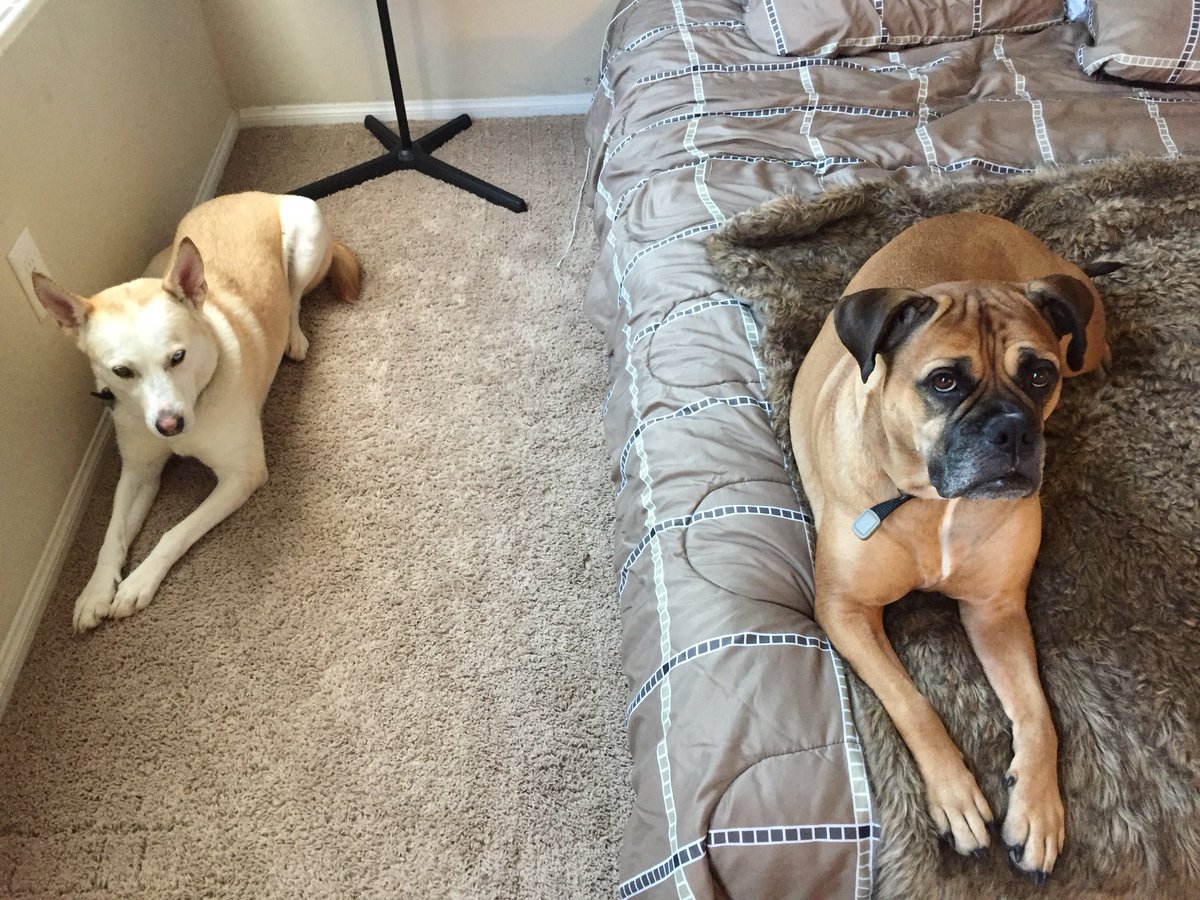 Natasha Burgess tweet media