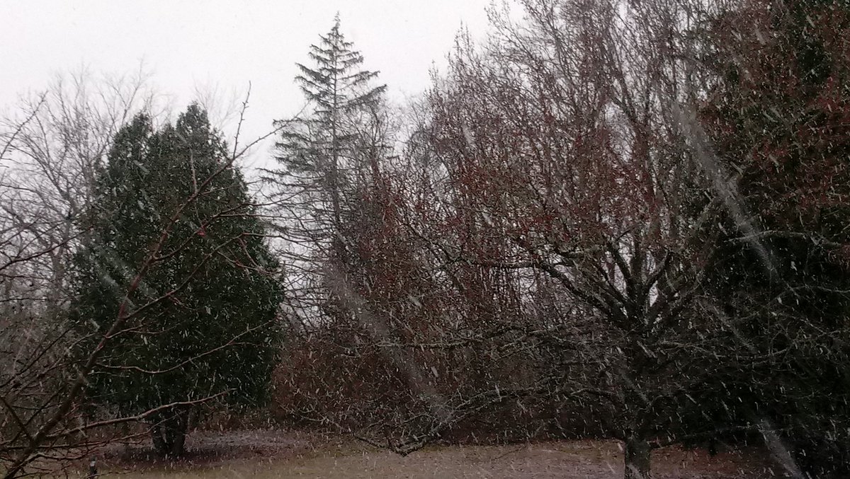therealmuser's tweet image. It's snowing in Ohio! Don't get much snow in central Florida, so this a real treat.