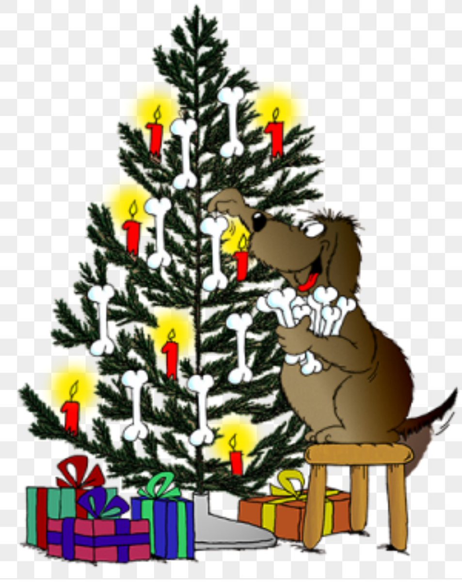 Zaubernetz's tweet photo. @marcuswolf Ich wünsche Dir und Deiner Familie, natürlich auch #schmutzi 😉, ein schönes Weihnachtsfest https://t.co/xqspzcS1uj