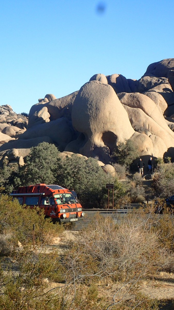 tiggers_travels's tweet image. #skullrock #joshuatreenationalpark #tiggerstravels